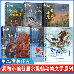 黑鹤动物文学系列全7册 我和小狼芬里尔动物文学作家格日勒其木格黑鹤黑狗哈拉诺亥血驹黑焰等少年读物动物文学小说