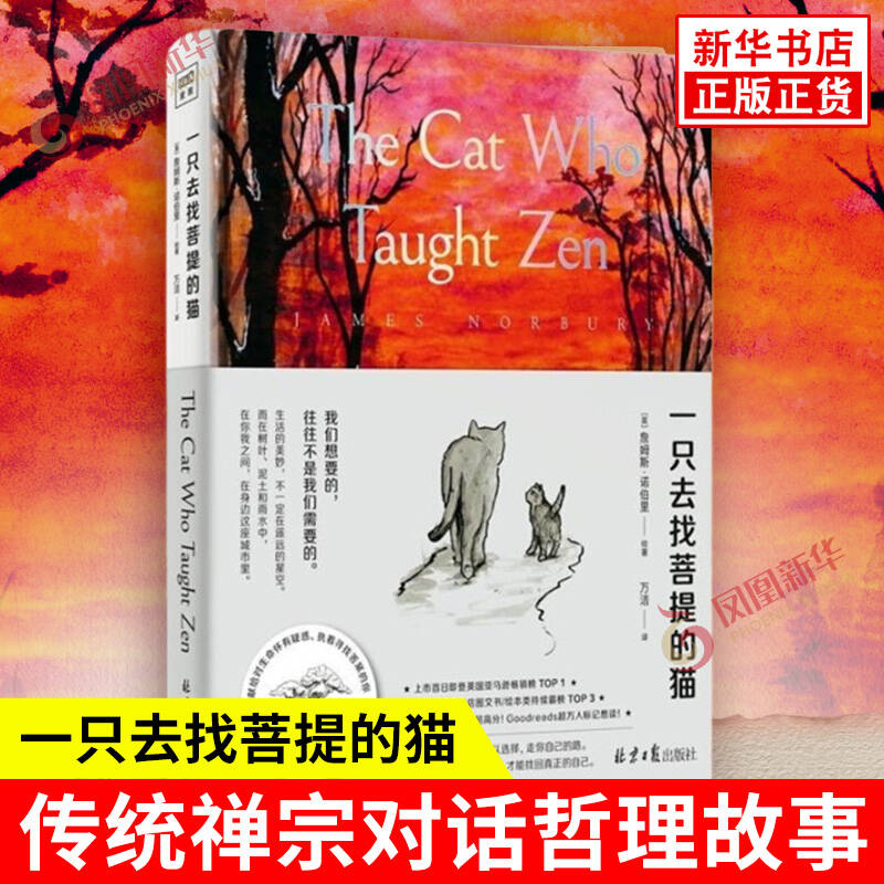 一只去找菩提的猫 英 詹姆斯诺伯里 著 一本从9岁读到99岁的哲理之书 传统禅宗对话哲理故事哲学读物 寻找人生的意义 新华书店正版