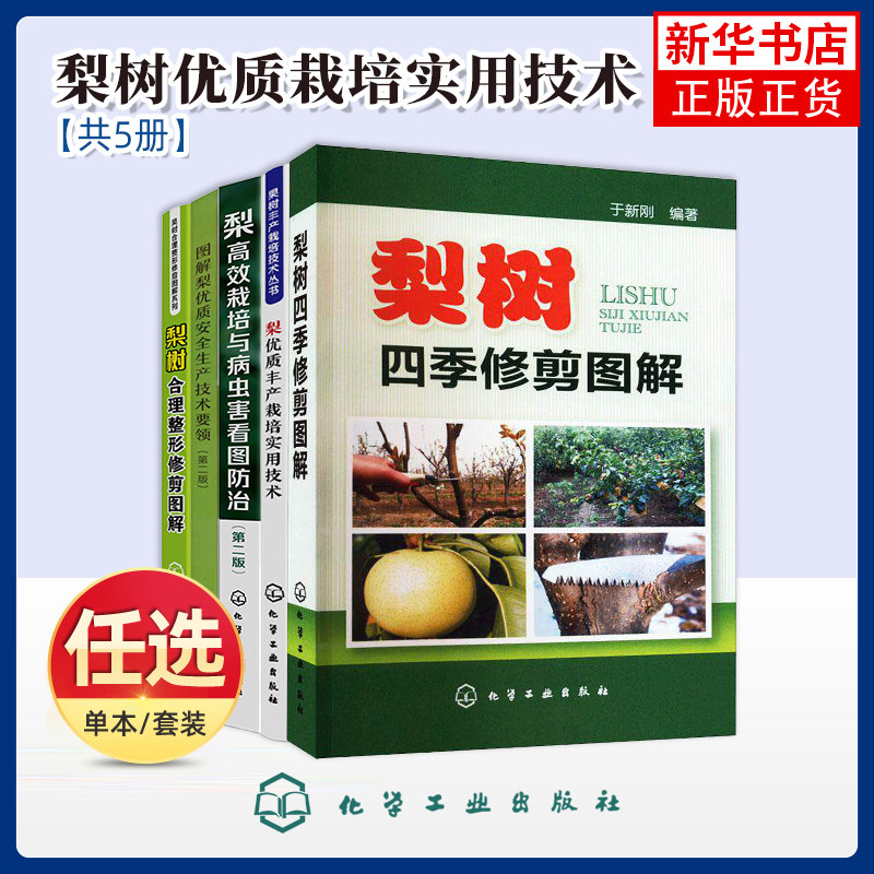 任选 梨树四季修剪图解+梨优质丰产栽培实用技术+梨高效栽培与病虫害看图防治图解梨优质安全生产技术要领梨树合理整形修剪图解书