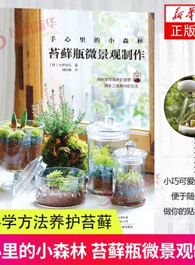 手心里的小森林苔藓瓶微景观制