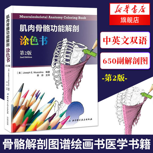 正版 肌肉骨骼功能解剖涂色书(第2版)【凤凰新华书店旗舰店】肌肉骨骼解剖图谱绘画书医学图书籍 人体解剖图谱 北京科学技术出版社