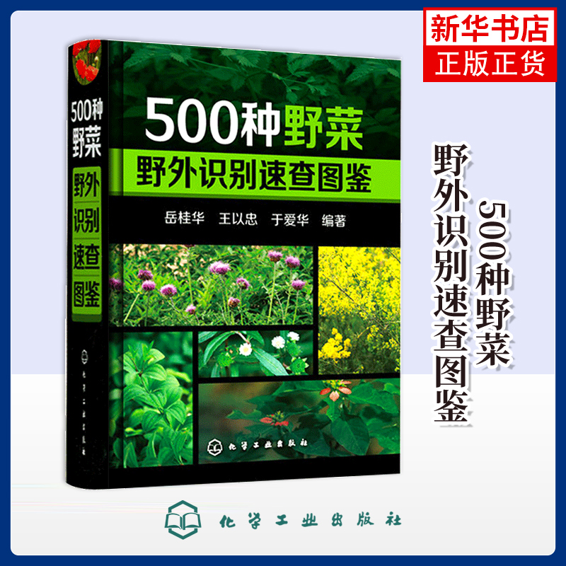 500种野菜野外识别速查图鉴 药用植物食用方法保健功效野生蔬菜果实药用常见有毒植物野外鉴别识别方法教程随身查手册图书籍