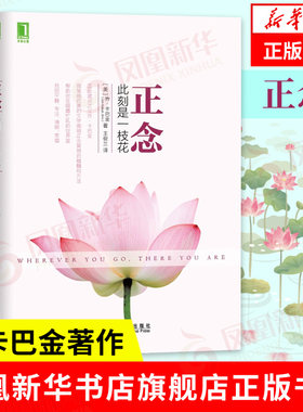 【凤凰新华书店旗舰店】正念 此刻是一枝花 减压 乔卡巴金力作 心理图书20年来改变了无数人的生活乔布斯的创新源泉