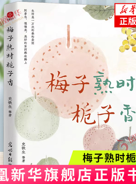 梅子熟时栀子香 史铁生季羡林汪曾祺等文学大家四时节令主题散文精品集 了解传统文化与生活美学的佳作 新华正版书籍