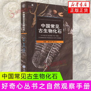 中国常见古生物化石 中国古生物化石群 如何寻找化石 化石的收藏与保管 古生物爱好者 唐永刚,邢立达 重庆大学出版社