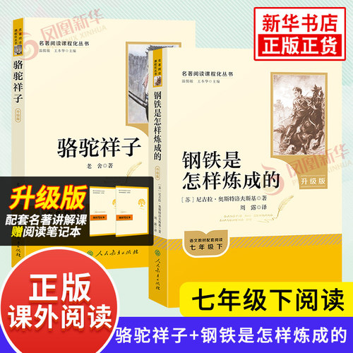 骆驼祥子海底两万里正版书原著