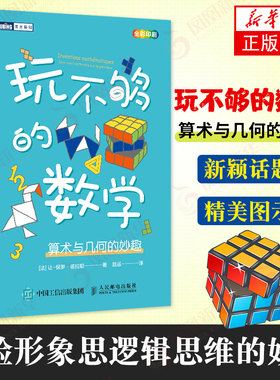 玩不够的数学 算术与几何的妙趣 自然科学数学教材教程 拓展数学思路 体验形象思逻辑思维的妙趣书籍 【新华书店正版书籍】