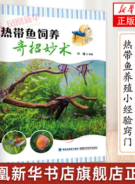 热带鱼养殖小经验窍门