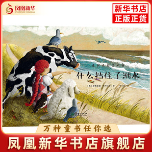 什么挡住了潮水-爱探索的艾米丽(德)安德丽娅.莱特迈耶绘本/图画书/少儿动漫书朝华出版社凤凰新华书店旗舰店