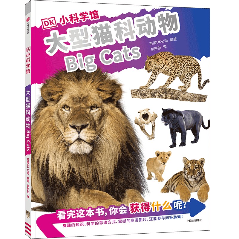 DK小科学馆·大型猫科动物 5-12岁儿童科学知识科普百科全书三四五六年级小学生寒暑假课外阅读书 中信正版【凤凰新华书店旗舰店】
