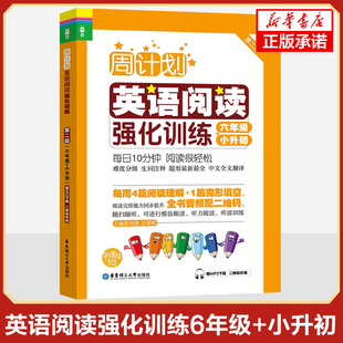 英语阅读强化训练6年级+小升初 周计划第2版 六年级上下学期 扫码听读 六年级小学英语阅读周计划 六年级英语阅读100篇天天练 正版