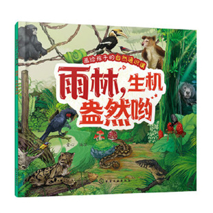 画给孩子的自然通识课--雨林，生机盎然哟 童心  编绘 3-6岁幼儿园低龄孩子趣味儿童科学通识启蒙 化学工业出版社