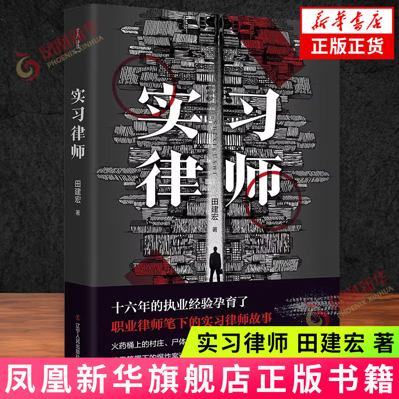 实习律师 田建宏 著 一部现实题材长篇小说 讲述一位小律师不畏艰险 追求正义的故事 辽宁人民出版社 新华正版书籍
