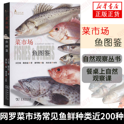 【凤凰新华书店旗舰店】菜市场鱼图鉴 自然观察丛书 吴佳瑞 赖春福 著 餐桌上生物学 鱼鲜认知图谱科学自然观察课 鱼类博物大百科