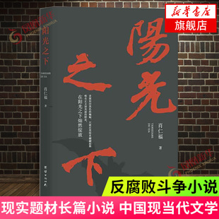 阳光之下 肖仁福 著 现实题材长篇小说反腐败斗争小说 中国现当代文学小说书籍 官场小说 与腐败分子斗智斗勇 新华书店旗舰店正版