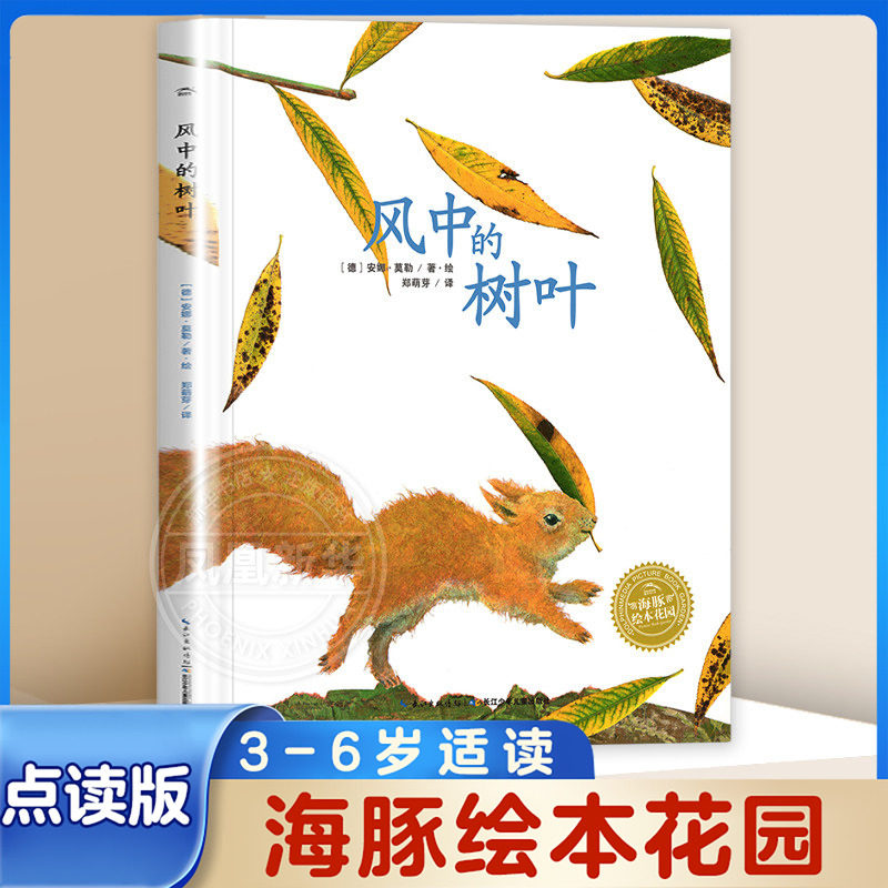风中的树叶 平装海豚绘本花园 1-2-3-4-5-6岁少幼儿童早教启蒙绘本 亲子阅读宝宝睡前图画故事书【凤凰新华书店旗舰店】