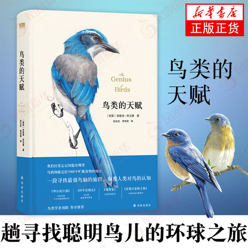 鸟类的天赋 珍妮弗·阿克曼 鸟类智力奇迹 趟寻找聪明鸟儿的环球之旅 刘阳作序 自然科普 新华书店旗舰店正版