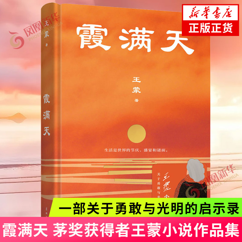 霞满天 茅奖获得者王蒙小说作品集 一部关于勇敢与光明的启示录 吟咏沉郁顿挫的人生 现代文学 花城出版社 凤凰新华书店正版书籍 书籍/杂志/报纸 现代/当代文学 原图主图