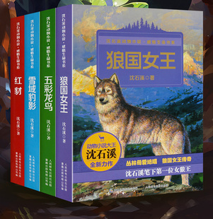 15岁儿童文学中小学生课外阅读物少儿课外读物 沈石溪动物小说全集感悟生命书系全套4册狼国女王红豺五彩龙鸟雪域豹影