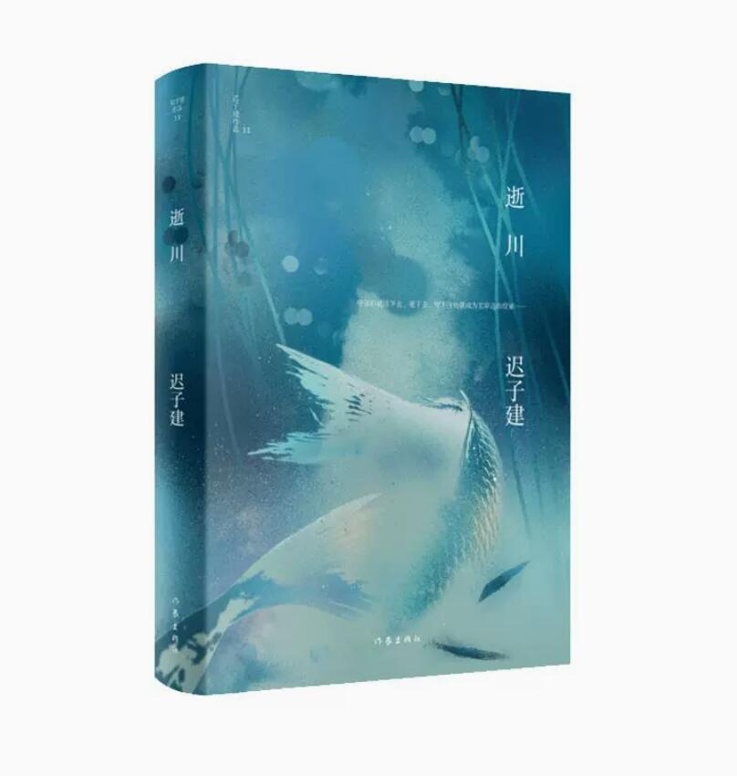 逝川 迟子建作品 写市井生活 寻常百姓的情感与生活故事 洋溢着温情与暖意 短篇小说故事集 作家出版社凤凰新华书店旗舰店正版书籍