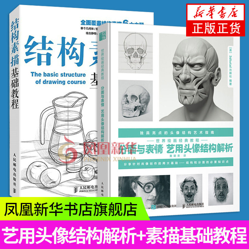 结构素描基础教程+世界绘画经典教程 分面与表情 艺用头像结构解析 素描书入门教材 素描结构入门到精通 素描书入门教材教程正版