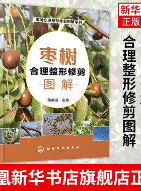 枣树合理整形修剪图解  枣树种植书籍枣树整形修剪技术与youzhi丰产栽培无公害红枣冬枣树病虫害防治技术书果园管理书籍陈敬谊编著
