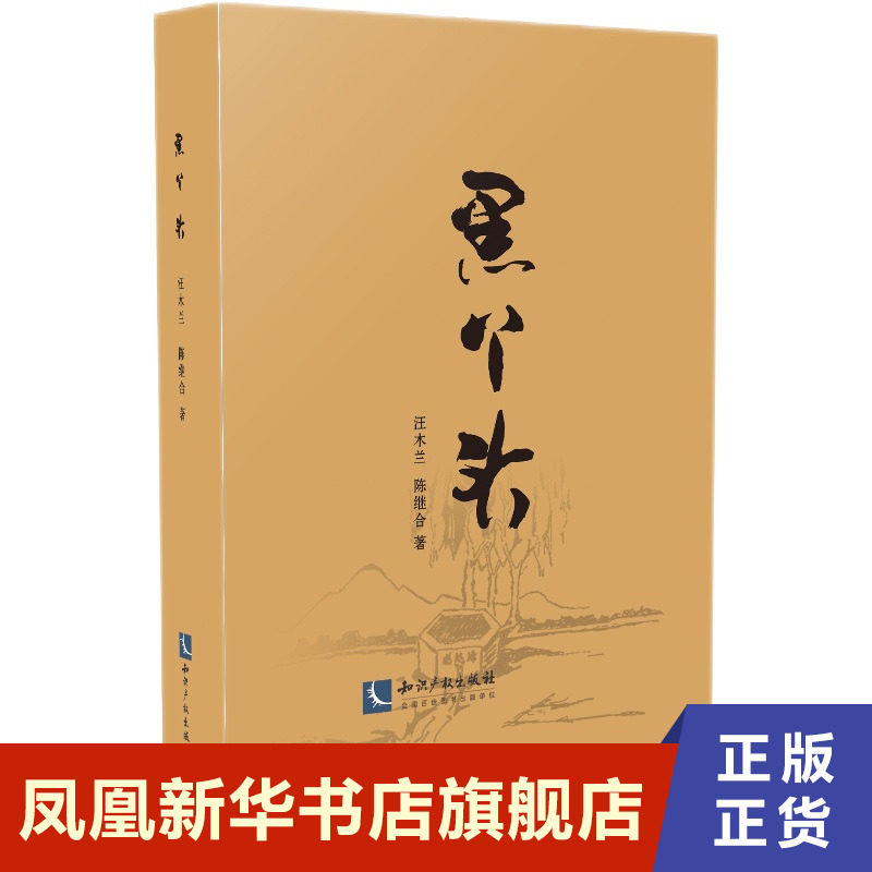 黑丫头 汪木兰陈继合 著 知识产权出版社 文学小说 文学作品集 现代