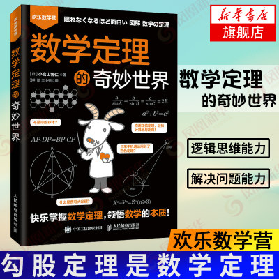 数学定理的奇妙世界 趣味数学 数学家 逻辑思维 好玩儿的数学 爱上数学 融入生活的数学定理儿童数学启蒙书