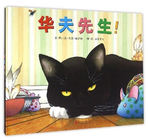华夫先生凯迪克大奖精装绘本大卫威斯纳无字绘本  3-6周岁幼儿童早教