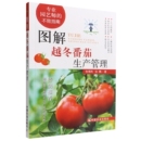 中国农业出版 不败指南 社 农业基础科学 书籍 图解越冬番茄生产管理 新华正版 专业园艺师