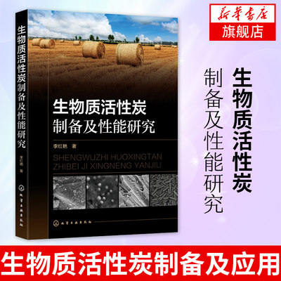 生物质活性炭制备及性能研究李红艳 著 生物质活性炭制备及应用农业废弃物资源化的新途径 环境科学 环境科学