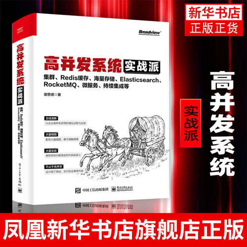 高并发系统实战派 集群 Redis缓存 海量存储 Elasticsearch RocketMQ 微服务 持续集成等 企业系统技术框架搭建技术