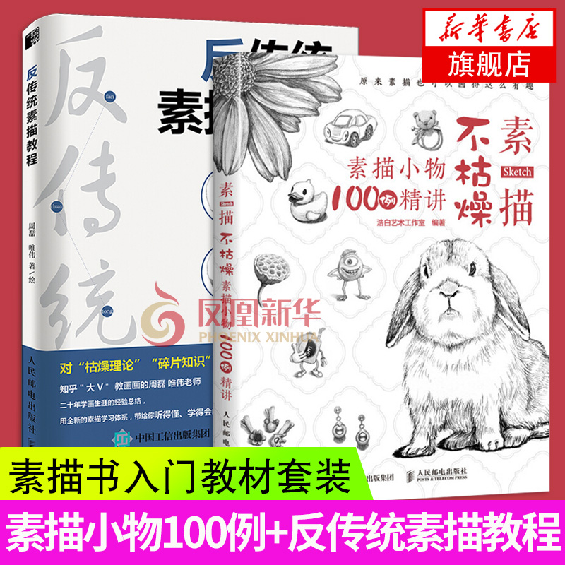 反传统素描教程+素描的反传统训练 素描100例精讲 素描书籍教材临摹素描零基础教程 铅笔素描技法入门到精通 素描初学者自学书籍