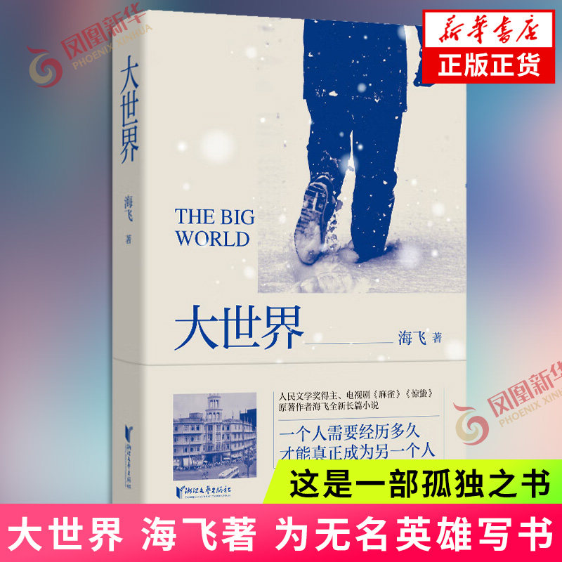 大世界 海飞著 为无名英雄写书 这是一部孤独之书 也是一部希望之书 暗战特工悬疑谍战长篇小说 新华正版书籍