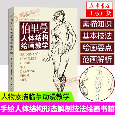 伯里曼人体结构绘画教学白金版人体结构造型手绘技法艺用画手解剖构人物素描速写临摹基础入门动漫美术教学教程书籍