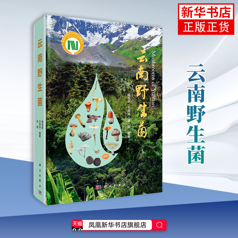 云南野生菌 杨祝良 真菌囊菌担子菌原生境彩图特征描述生境分布及生态经济价值形态特征 新华正版书籍