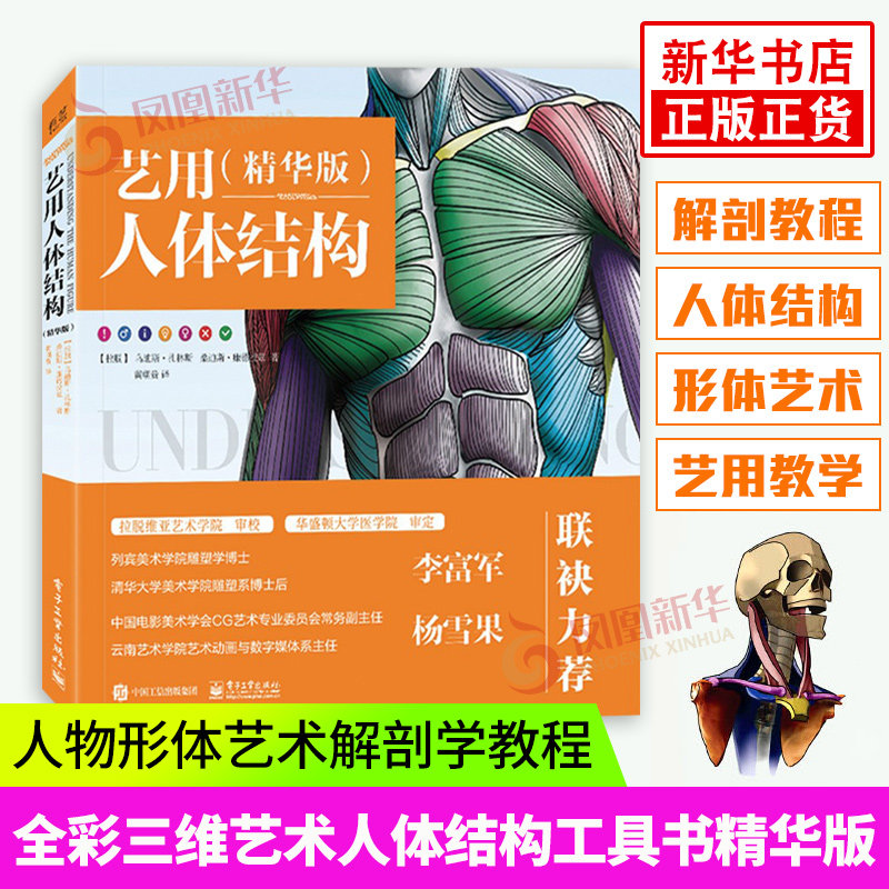 艺用人体结构 精华版 人物解剖学教程 画画肌肉骨骼造型技法理解人体形态 素描绘画形体艺术插画画册画集手绘伯里曼教学书籍