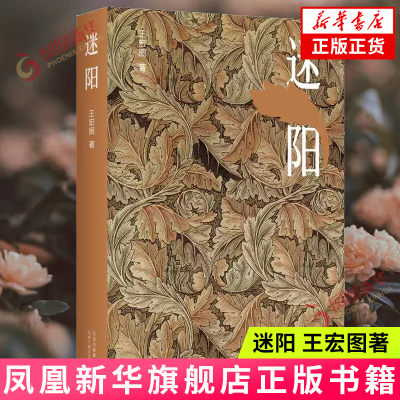 迷阳 王宏图 北京十月文艺出版社 中国当代文学小说 描写都市生活长篇小说 新华正版书籍