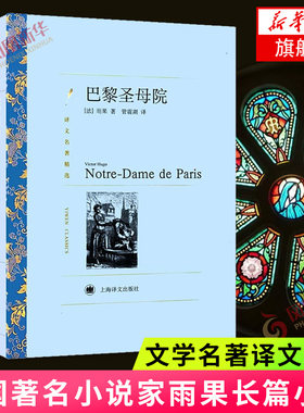 巴黎圣母院 文学名著译文名著精选 法国小说家诗人雨果长篇小说代表作 上海译文出版社 小说世界名著外国文学小说