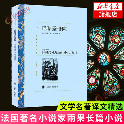 巴黎圣母院 文学名著译文名著精选 法国小说家诗人雨果长篇小说代表作 上海译文出版社 小说世界名著外国文学小说