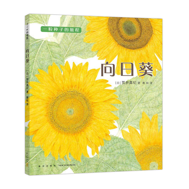 向日葵 一粒种子的旅行程系列 植物绘本3-6周岁科普百科关于花的书籍