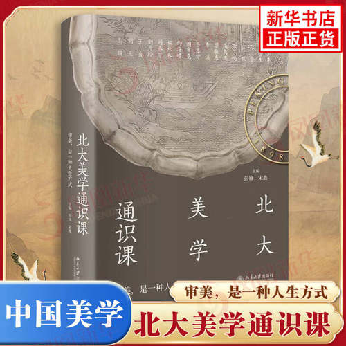 北大美学通识课 彭锋宋鑫 大学教材 中国诗词歌绘画艺术敦煌石窟建筑文物国宝设计工艺美术鉴赏美学启蒙素养新华书店正版书籍