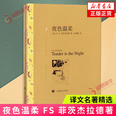 夜色温柔 FS 菲茨杰拉德著 汤新楣译 译文名著精选 自传体长篇小说 对人生透彻 惨痛的了解 上海译文出版社 凤凰新华书店 正版书籍