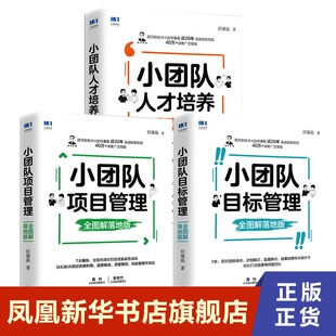 【套装3册】小团队项目管理+小团队目标管理+小团队人才培养 全图解落地版 企业管理书籍 正版书籍 【凤凰新华书店旗舰店】
