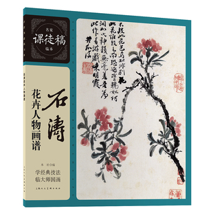 石涛花卉人物画谱石涛绘画（新）上海人民美术出版社凤凰新华书店旗舰店