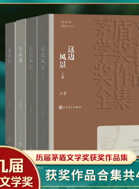 第九届茅盾套装 现代文学小说 茅盾文学奖作品 这边风景 生命册 黄雀记 人民文学出版社 凤凰新华书店旗舰店正版书籍