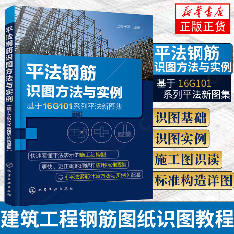 平法钢筋识图方法与实例基于16G101系列平法新图集平法识图与钢筋计算建筑工程钢筋图纸识图教程混凝土结构施工图设计规范书籍