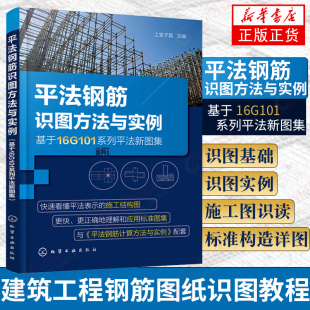 建筑工程钢筋图纸识图教程 平法钢筋识图方法与实例 平法识图与钢筋计算 基于16G101系列平法新图集 混凝土结构施工图设计规范书籍