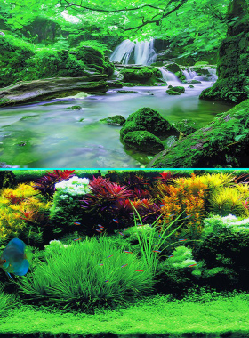 定制鱼缸背景贴纸高清鱼缸壁纸石头水草图案3d立体水族箱背景壁画