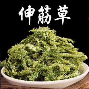 野生伸筋草中药500克g正品另售远志益智仁伸筋草透骨草泡脚中药材